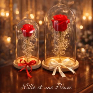 Fleuriste à Sousse et Monastir