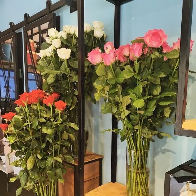 Fleuriste à Sousse et Monastir